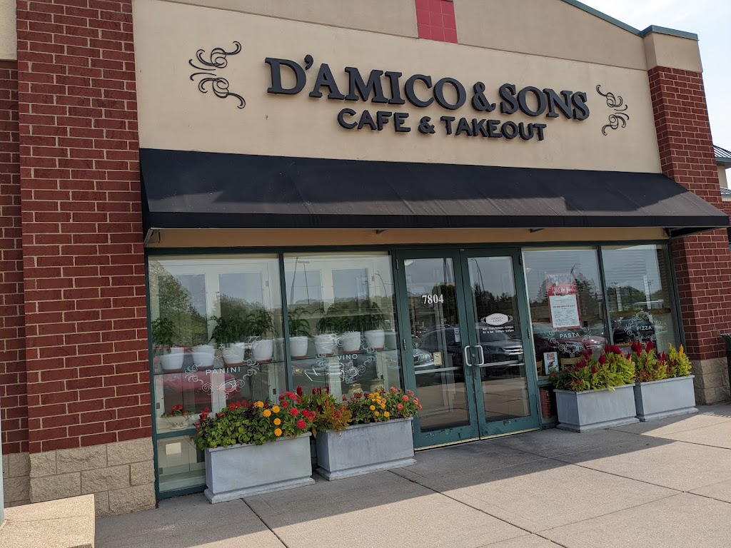 DAmico & Sons | 7804 Olson Mem Hwy, Golden Valley, MN 55427, USA | Phone: (763) 546-1166