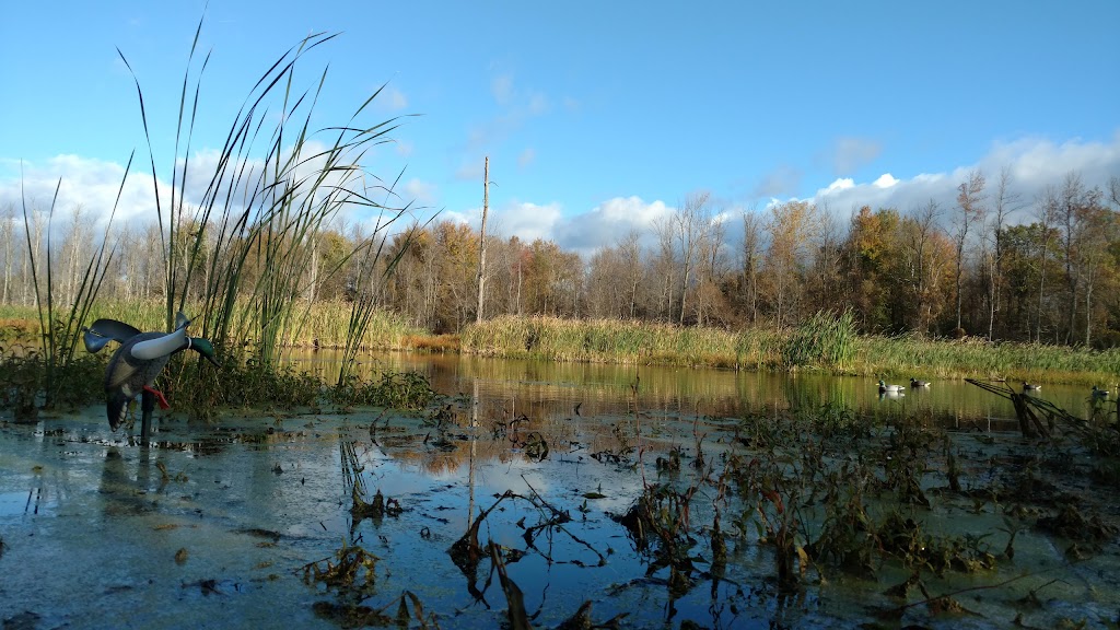 Iroquois National Wildlife Refuge | Casey Rd, Basom, NY 14013, USA | Phone: (585) 948-5445