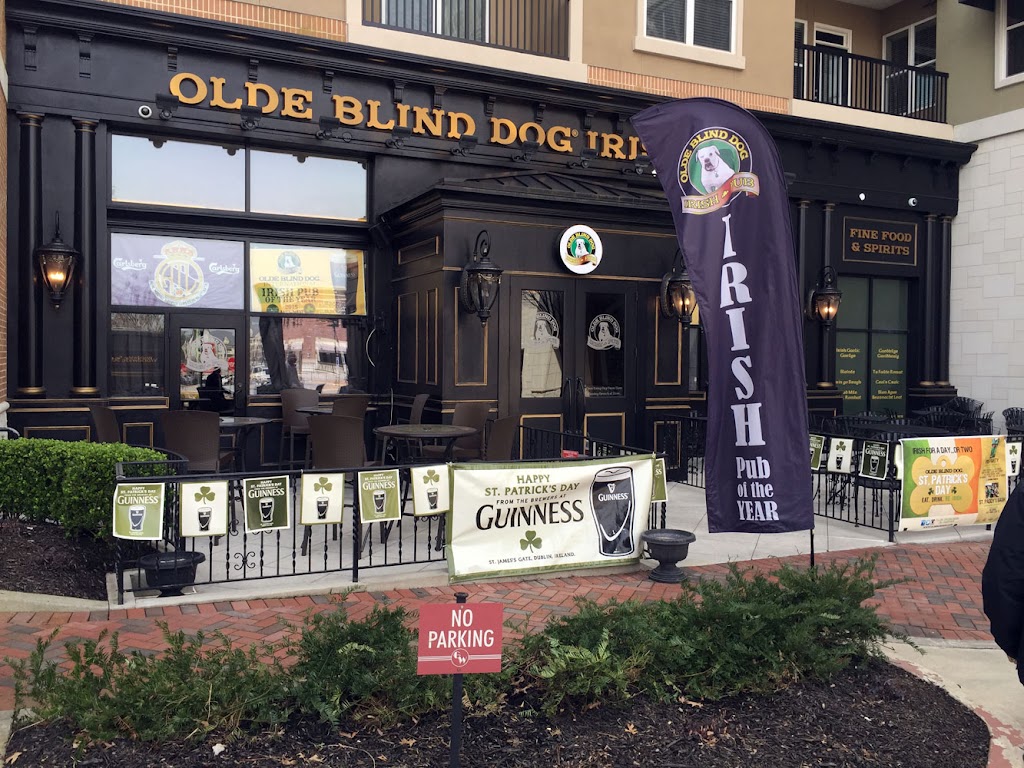 Olde Blind Dog Irish Pub | 12650 Crabapple Rd #100, Milton, GA 30004 | Phone: (678) 624-1090