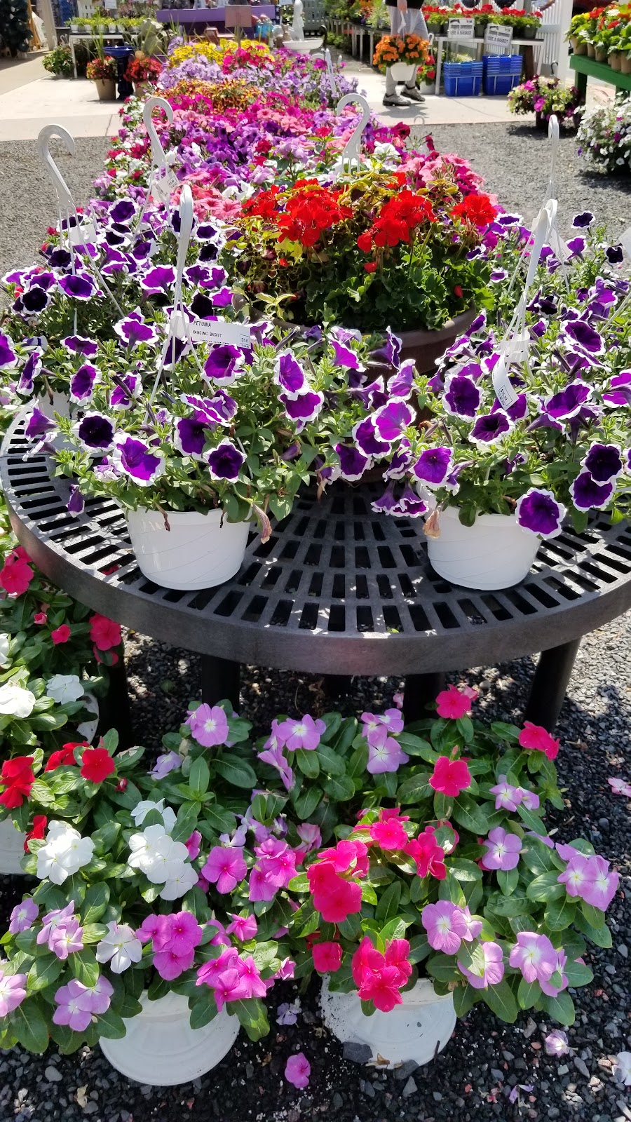 Coppolas Garden Center | 1600 New Durham Rd, South Plainfield, NJ 07080, USA | Phone: (732) 985-2166