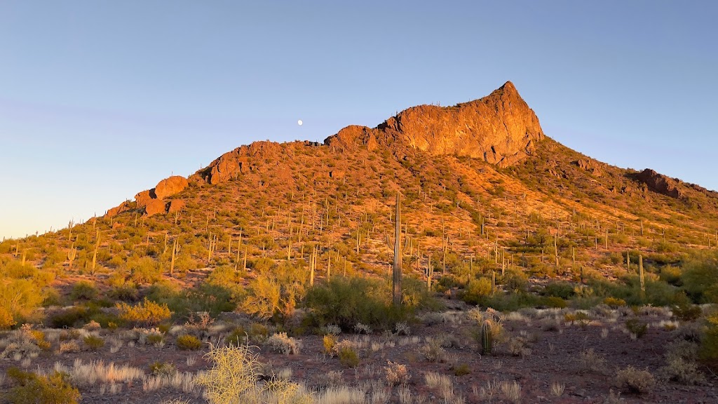 Picacho Peak State Park | 15520 Picacho Peak Rd, Picacho, AZ 85141, USA | Phone: (520) 466-3183