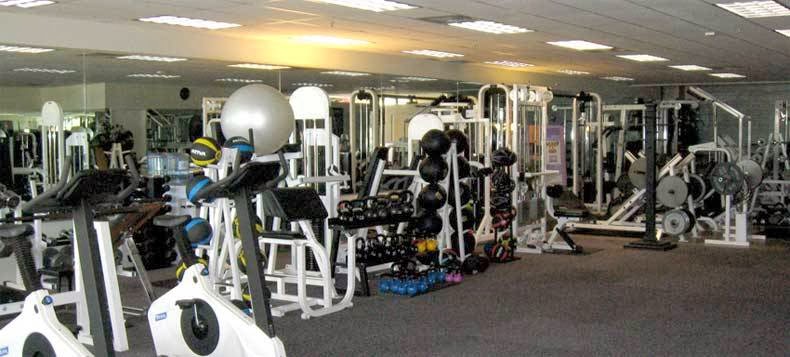 Got Muscle | 8280 Folsom Blvd, Sacramento, CA 95826, USA | Phone: (916) 381-1221