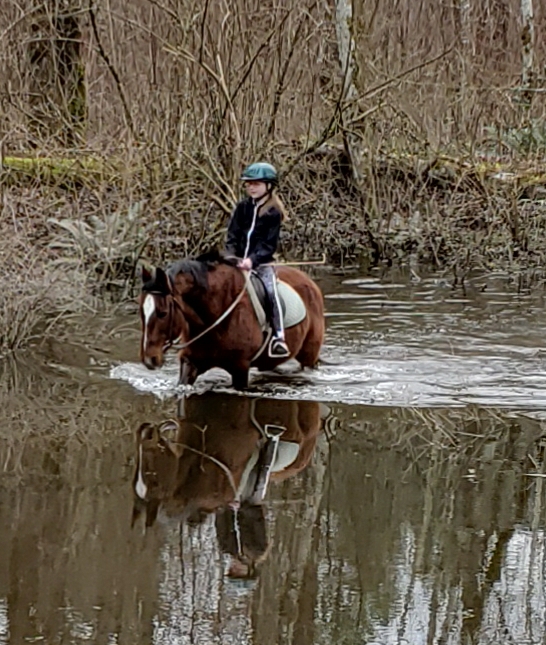 Misty Acres horse Lessons and trail rides | 29615 SE 281st St, Ravensdale, WA 98051, USA | Phone: (425) 432-1467