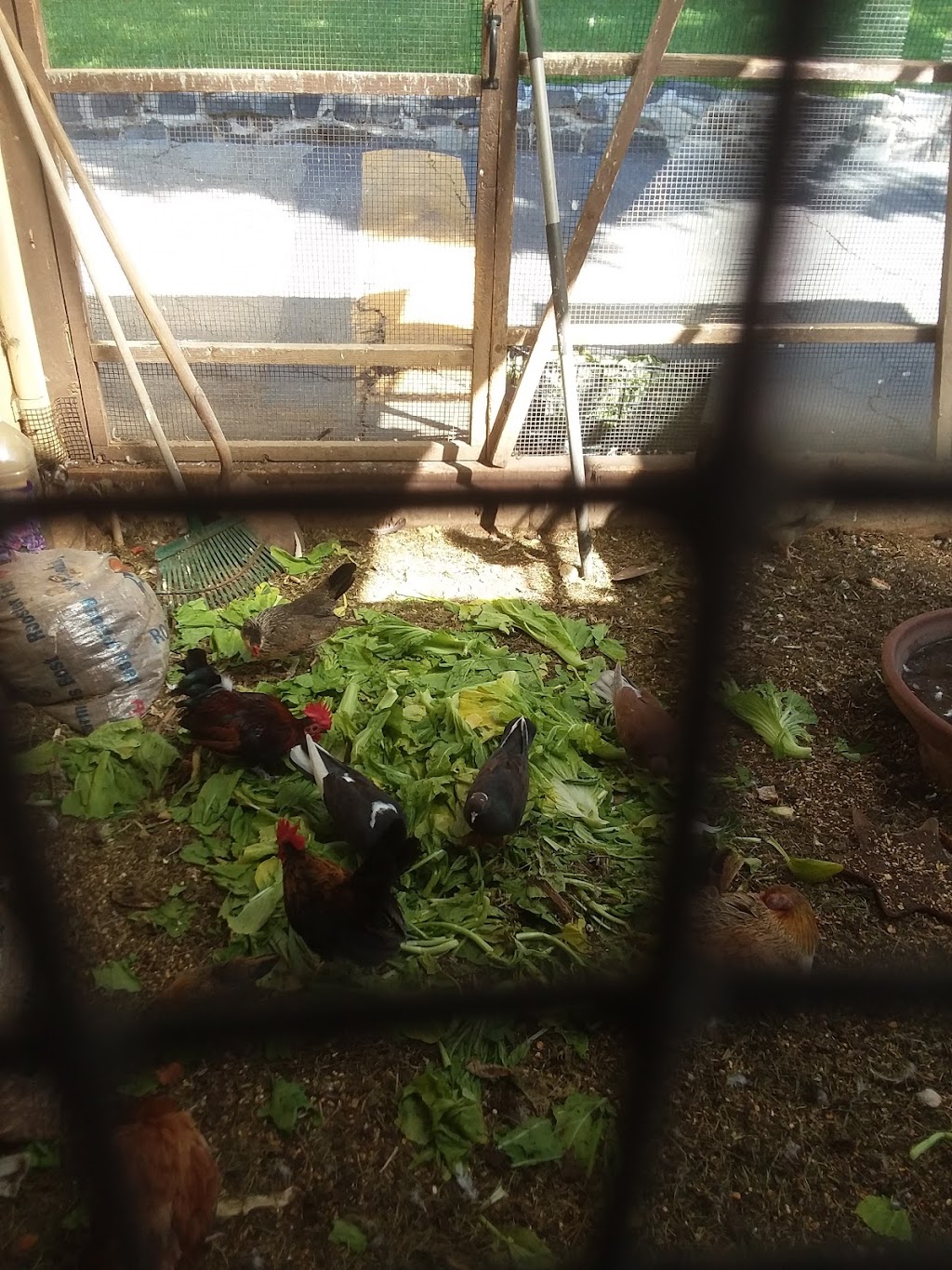 St Joseph's Salesian Youth Retreat Center 8301 Arroyo Dr, Rosemead