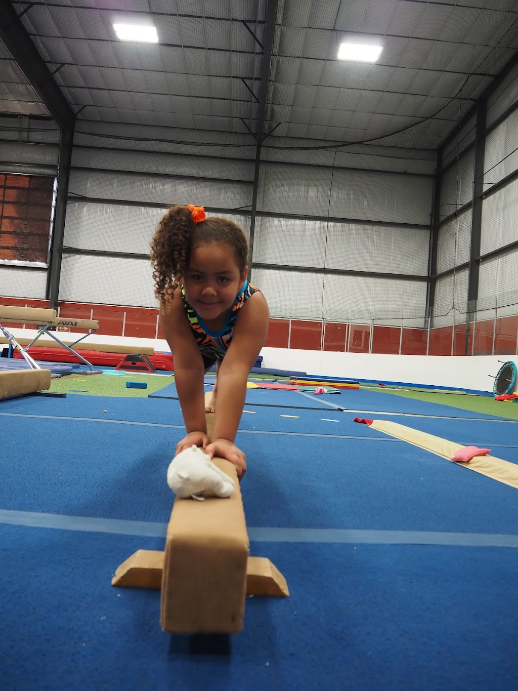 Fitness Made Fun LLC | 3101 Recreation Dr, Washington, MO 63090, USA | Phone: (636) 667-6831