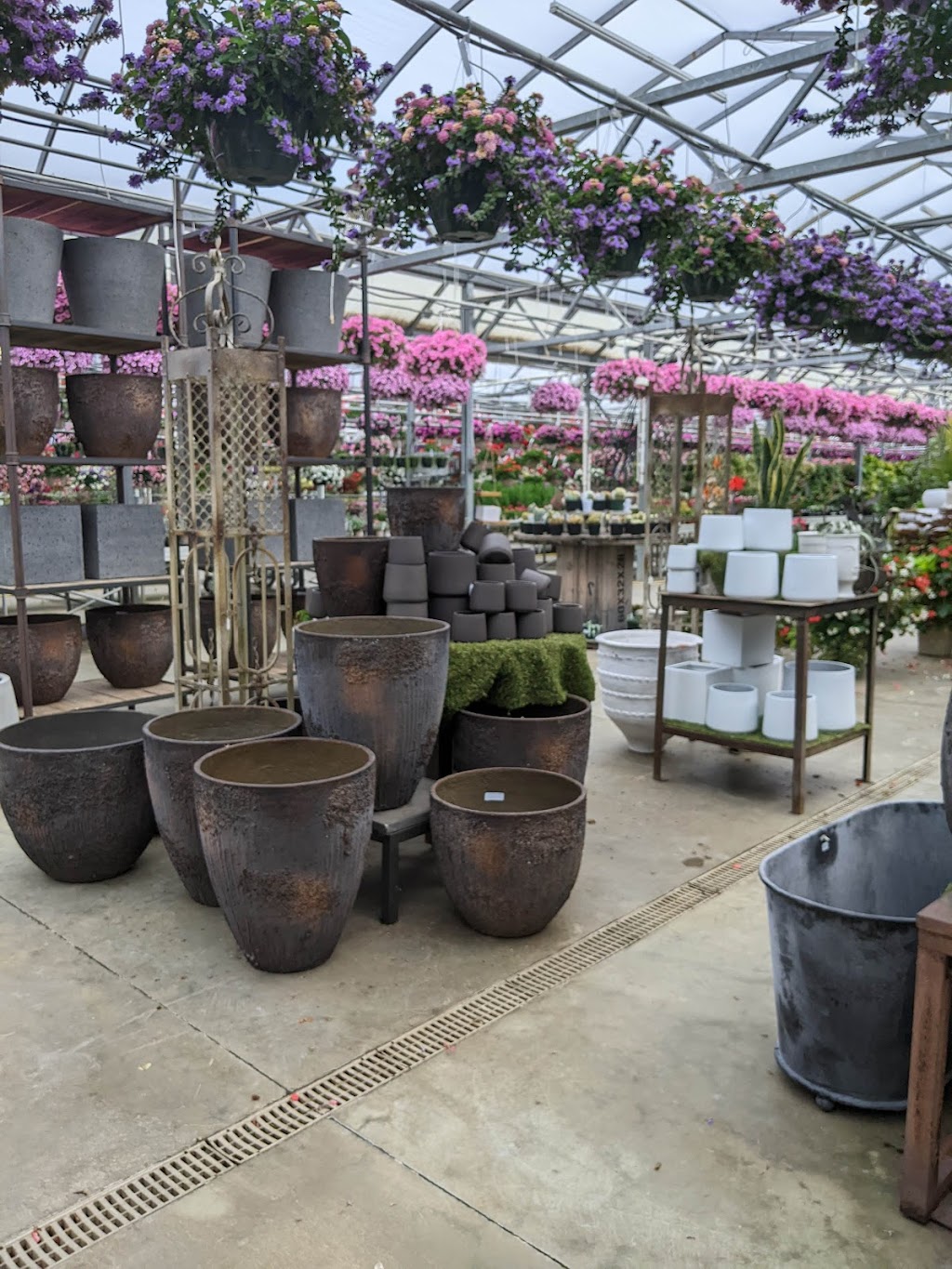 Fogler’s Greenhouse | 3979 N Rochester Rd, Rochester, MI 48306, USA | Phone: (248) 652-3614