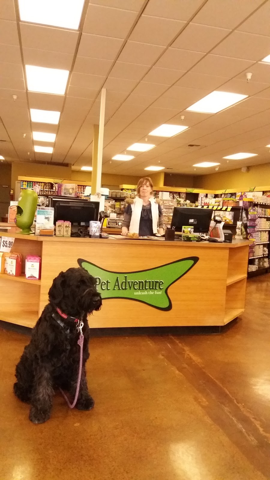 Pet Adventure | 22803 44th Ave W, Mountlake Terrace, WA 98043, USA | Phone: (425) 771-0676