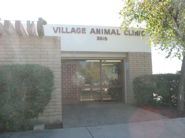 Village Animal Clinic | 3515 W Calavar Rd, Phoenix, AZ 85053, USA | Phone: (602) 938-8500