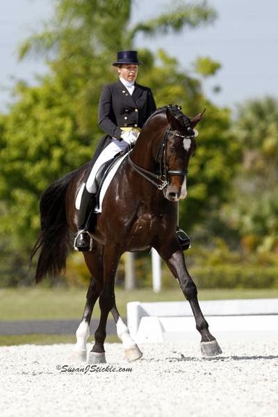 Adesco Dressage | 8281 Dines Rd, Novelty, OH 44072 | Phone: (216) 533-0920