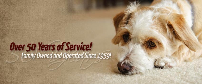 Ace Rug Cleaning Company, Inc. | 2426 Atlantic Ave, Raleigh, NC 27604, USA | Phone: (919) 832-2275