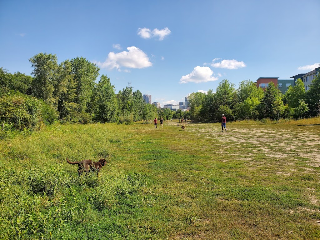 High Bridge Dog Park | 59 Randolph Ave, St Paul, MN 55102, USA | Phone: (651) 266-6400