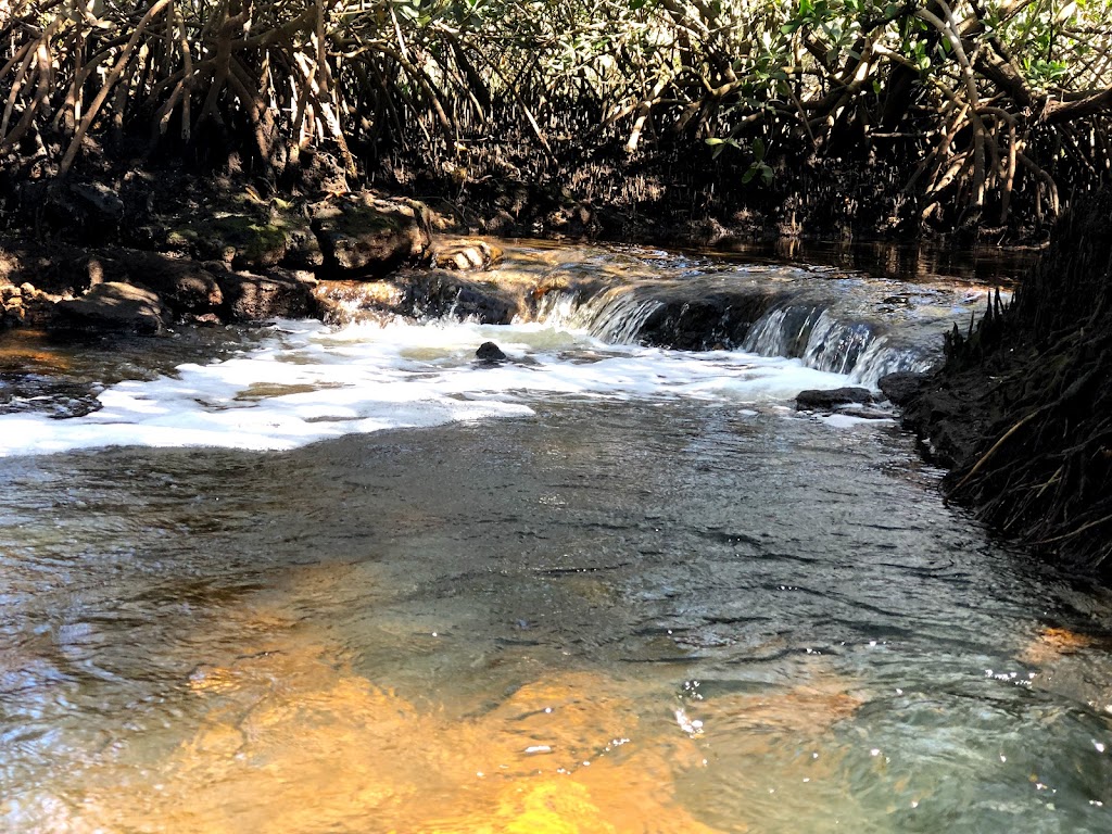 Werner-Boyce State Park Scenic Dr Trail Head | 10333 Scenic Dr, Port Richey, FL 34668, USA | Phone: (727) 816-1890