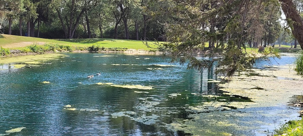 Roseland Golf and Curling Club | 455 Kennedy Dr W, Windsor, ON N9G 1S8, Canada | Phone: (519) 969-5112