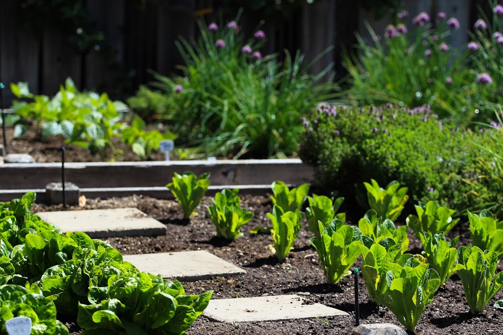 Natures Earth Products | 5471 Summer Ave, Memphis, TN 38134, USA | Phone: (901) 377-5340