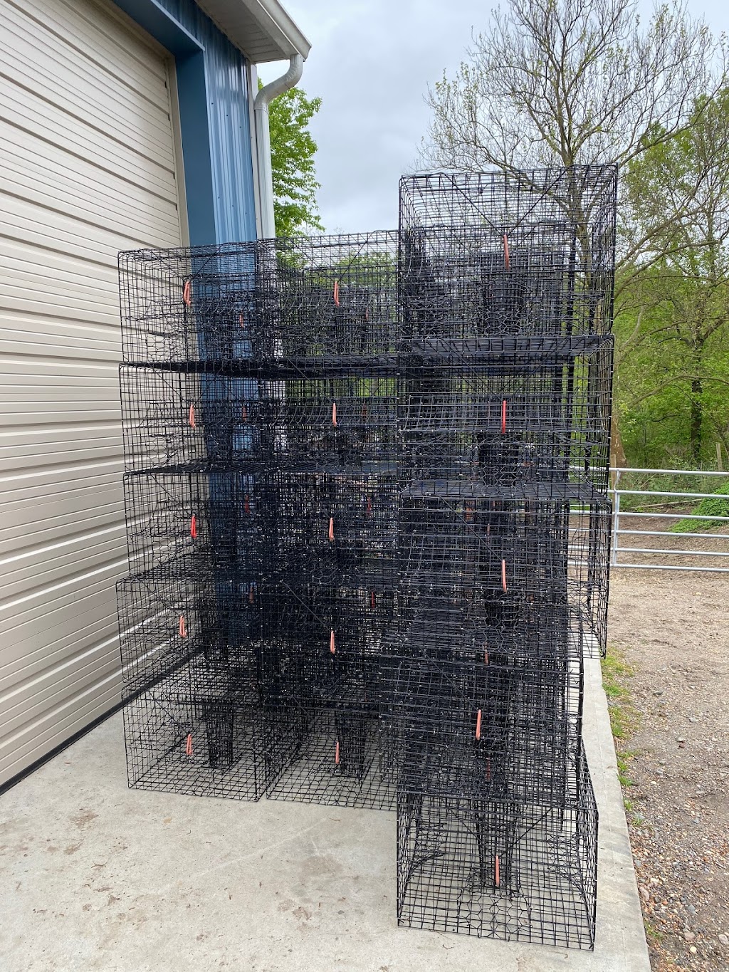 Custom Crab Traps LLC | 1 Daly Pl, Neptune City, NJ 07753, USA | Phone: (732) 882-5810