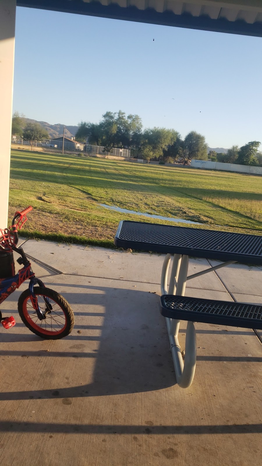 Nueve Park | 4445 S 9th St, Phoenix, AZ 85040, USA | Phone: (602) 262-7172