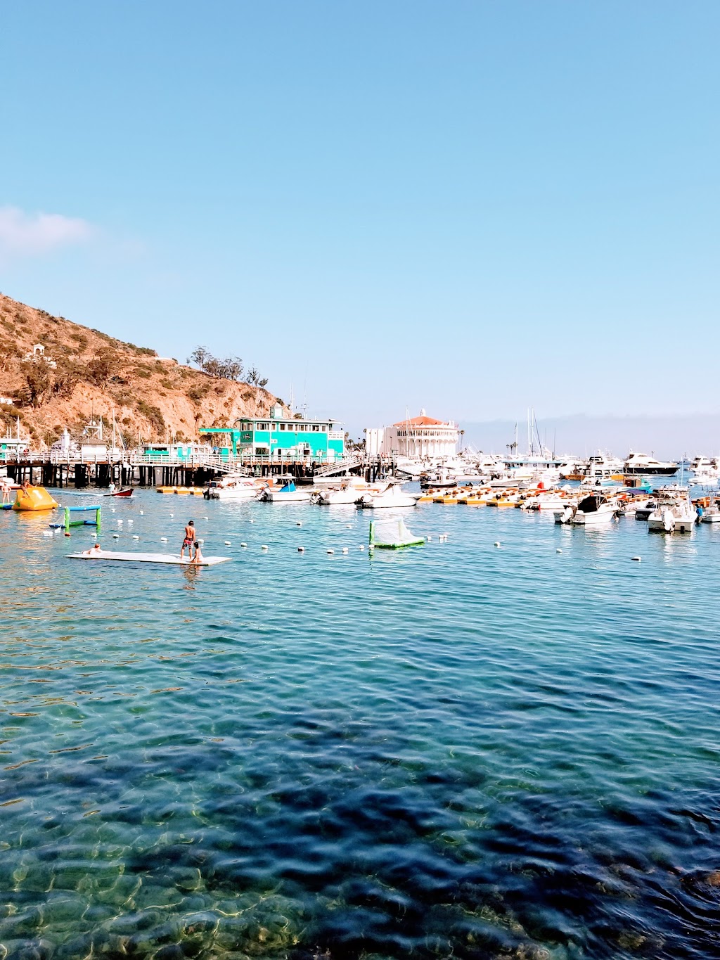 Snorkeling Catalina | 107 Pebbly Beach Rd, Avalon, CA 90704, USA | Phone: (310) 510-3175