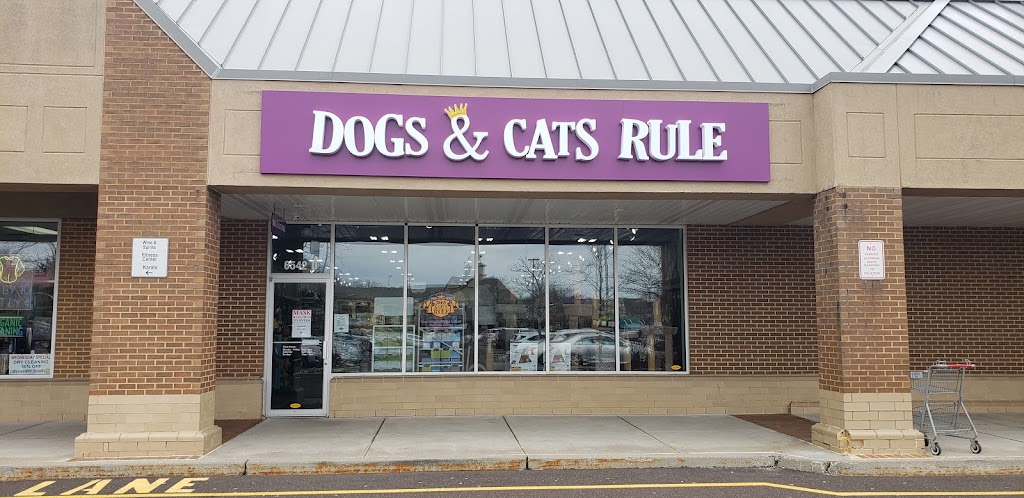 Dogs & Cats Rule | 6542 Lower York Rd D, New Hope, PA 18938, USA | Phone: (215) 693-1553