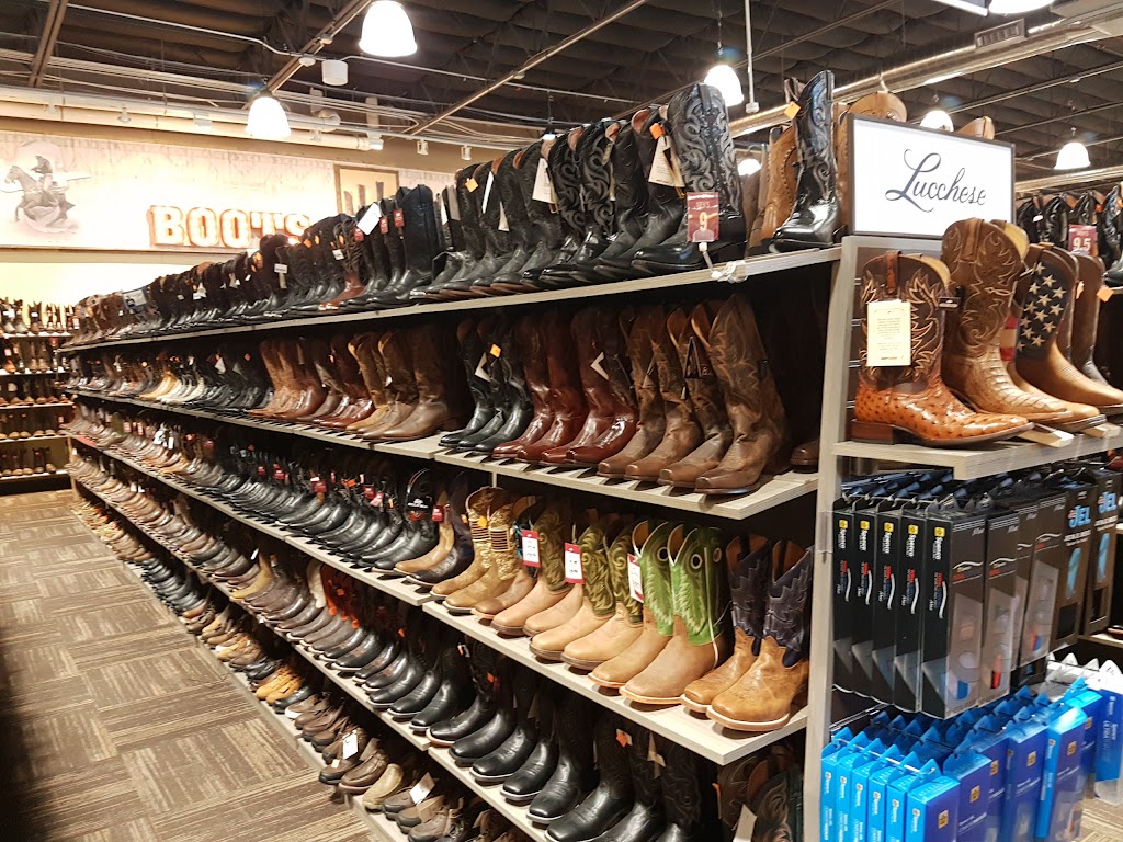 boot barn warm springs