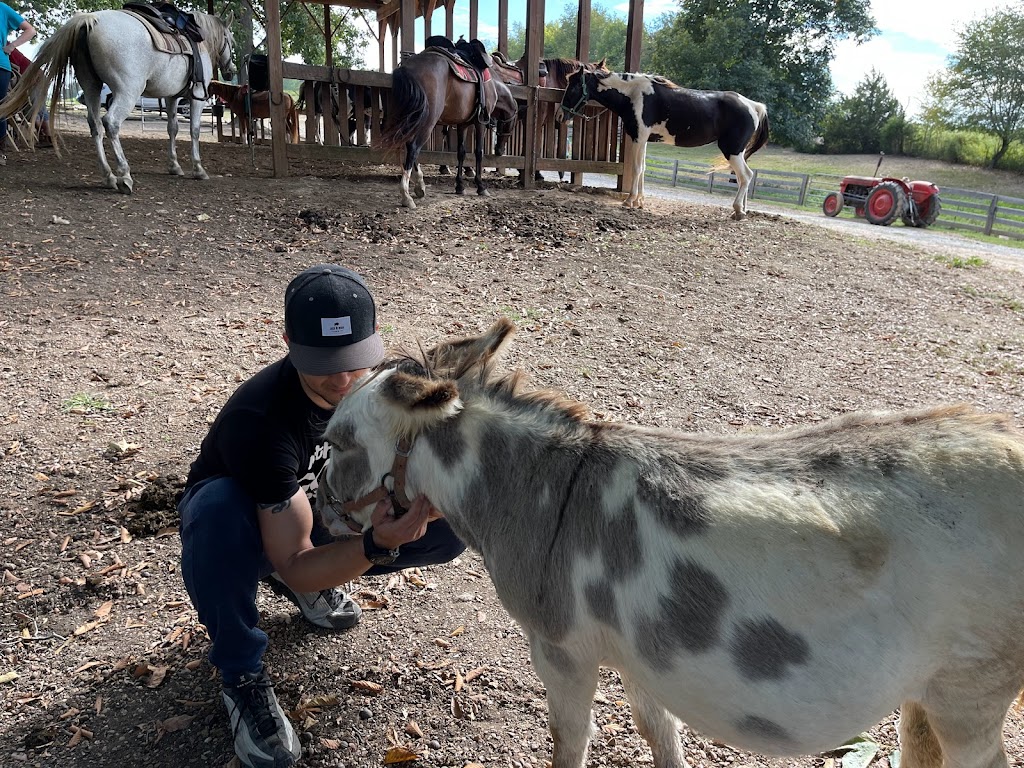 Natchez Trace Stables | 6691 Lick Creek Rd, Primm Springs, TN 38476, USA | Phone: (931) 682-3706