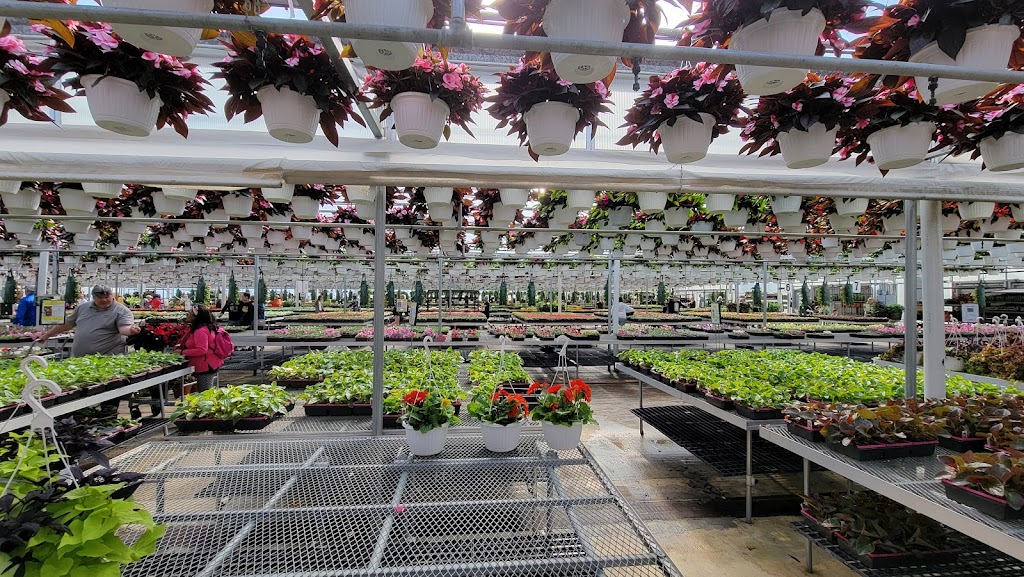 Schwartzs Greenhouse | 30705 Sibley Rd, Romulus, MI 48174, USA | Phone: (734) 753-9269