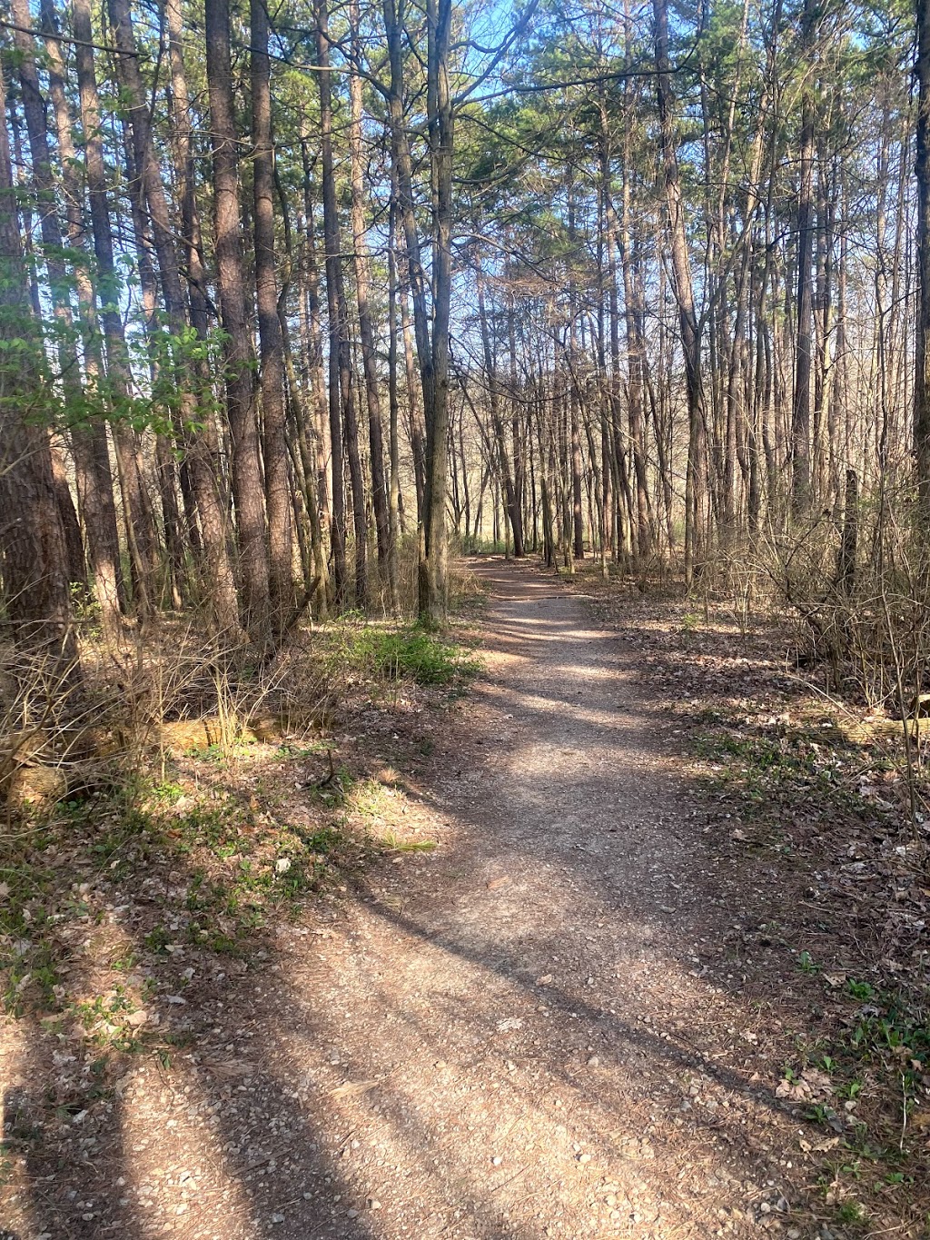 Winton Woods Fitness Trail | 10100-, 10248 Mc Kelvey Rd, Cincinnati, OH 45231, USA | Phone: (513) 521-7275