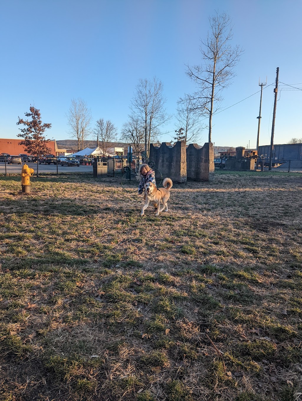 Port Jervis Dog Yard | Port Jervis, NY 12771, USA | Phone: (845) 858-4000