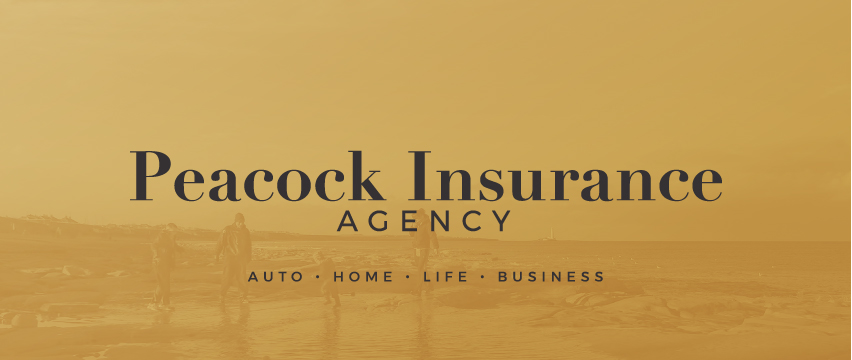 Peacock Insurance Agency Inc | 6280 Chester St Suite 101, Arlington, TN 38002, USA | Phone: (901) 350-0641