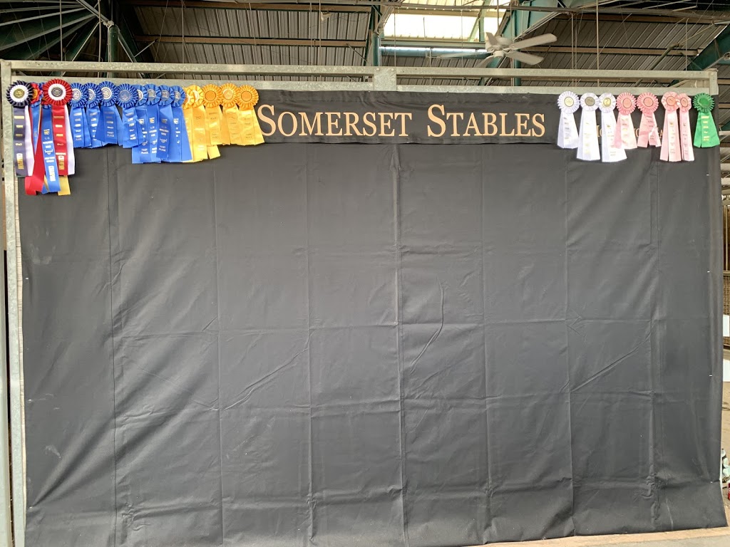 Somerset Stables, LLC | 575 Pleasant Grove Rd, McDonough, GA 30253, USA | Phone: (678) 687-4258