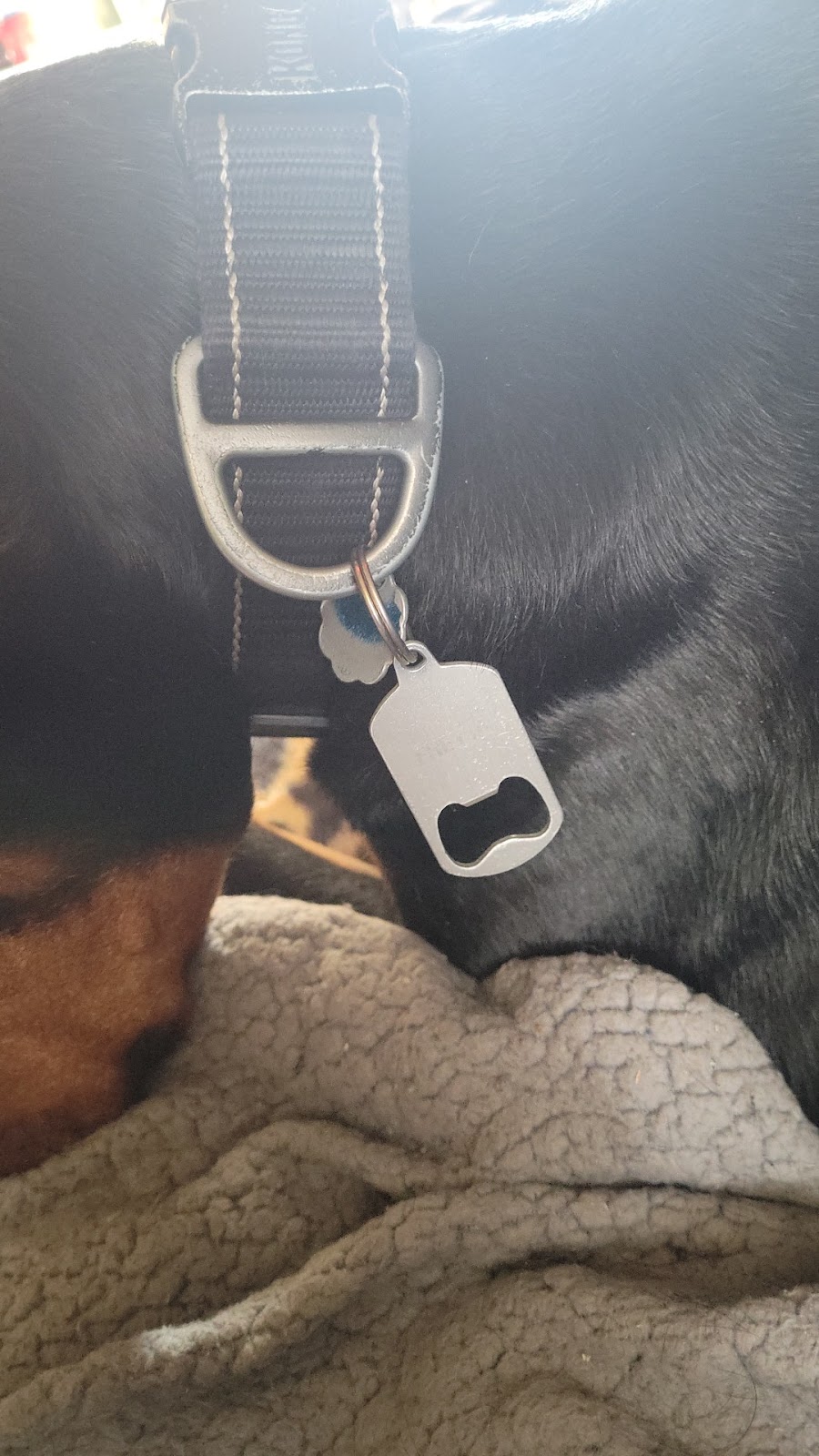 TagWorks | PetSmart, 2885 E 81st Ave, Merrillville, IN 46410, USA | Phone: (877) 473-8879