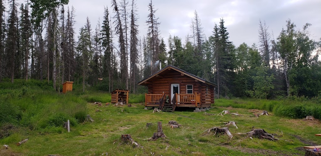 Dolly Varden Lake Campground | Dolly Varden Lake Rd, Kenai, AK 99672, USA | Phone: (907) 262-7021