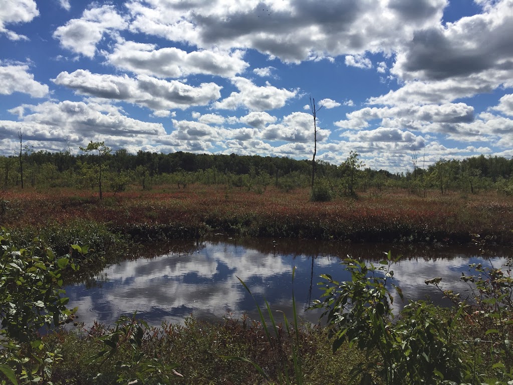 Iroquois National Wildlife Refuge | Casey Rd, Basom, NY 14013, USA | Phone: (585) 948-5445