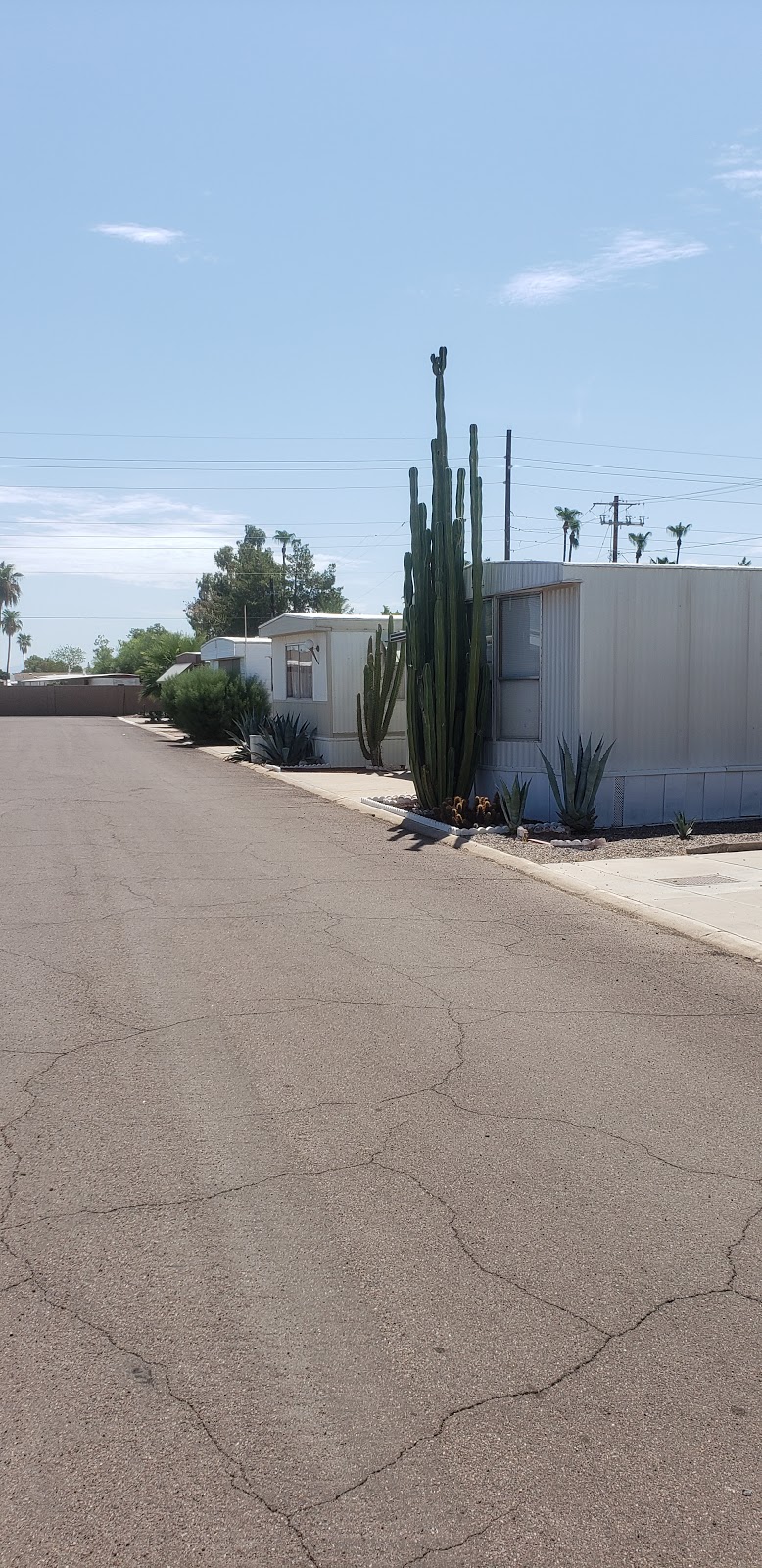 Alma Gardens Mobile Home and RV Park | 530 S Alma School Rd, Mesa, AZ 85210 | Phone: (480) 282-6014