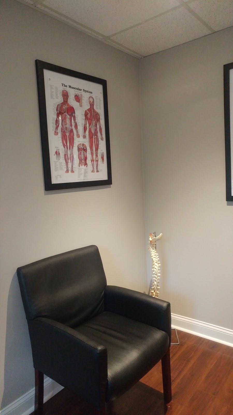 Jacksonville Sport & Spine | 2233 Park Ave suite 200-b, Orange Park, FL 32073, USA | Phone: (904) 375-2308