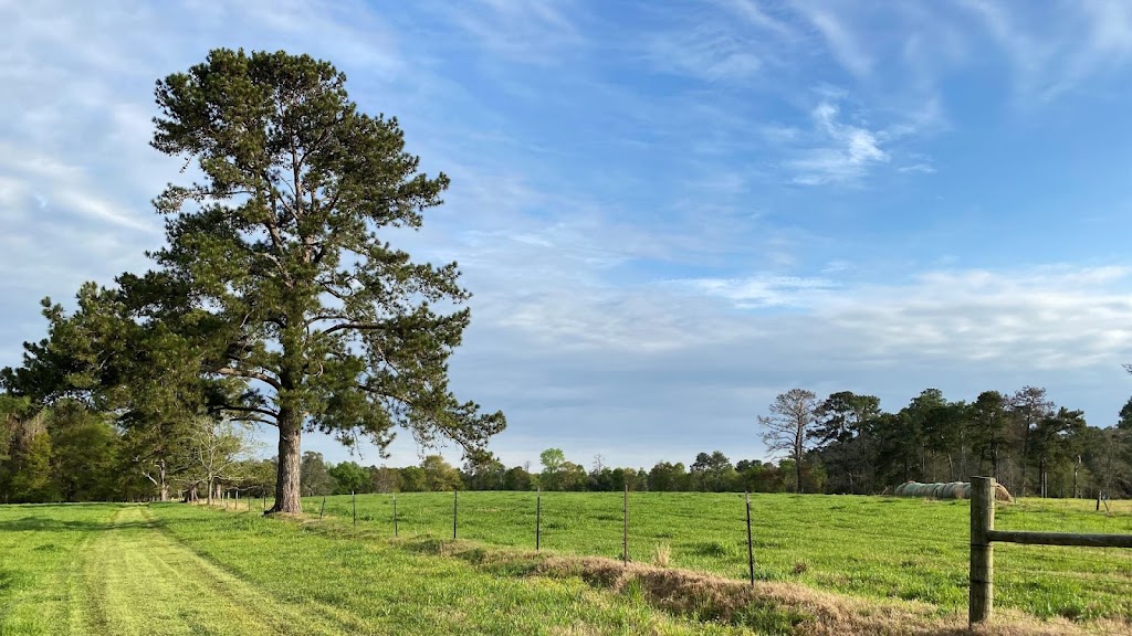 AgSouth Farm Credit | 1159 NC-86, Yanceyville, NC 27379, USA | Phone: (336) 694-4622