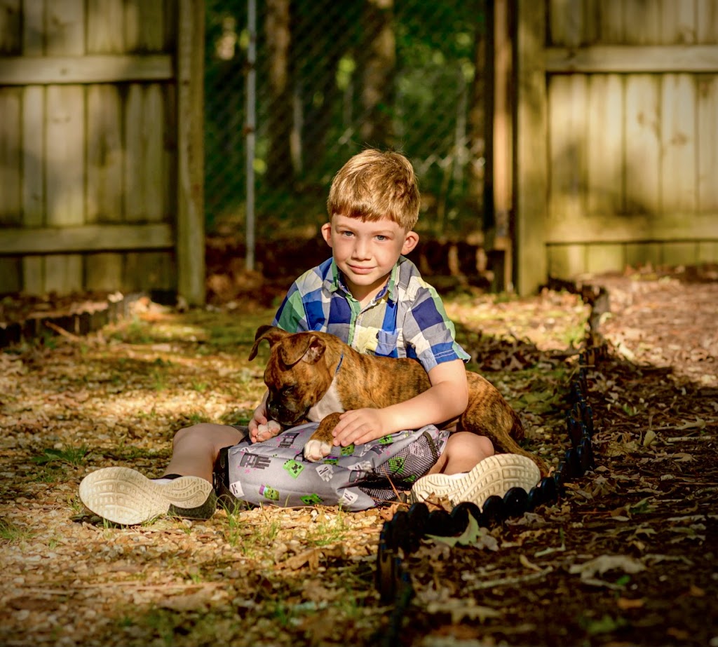 Denbigh Animal Hospital: Clanin Amanda DVM | 475 Denbigh Blvd, Newport News, VA 23608, USA | Phone: (757) 877-8339