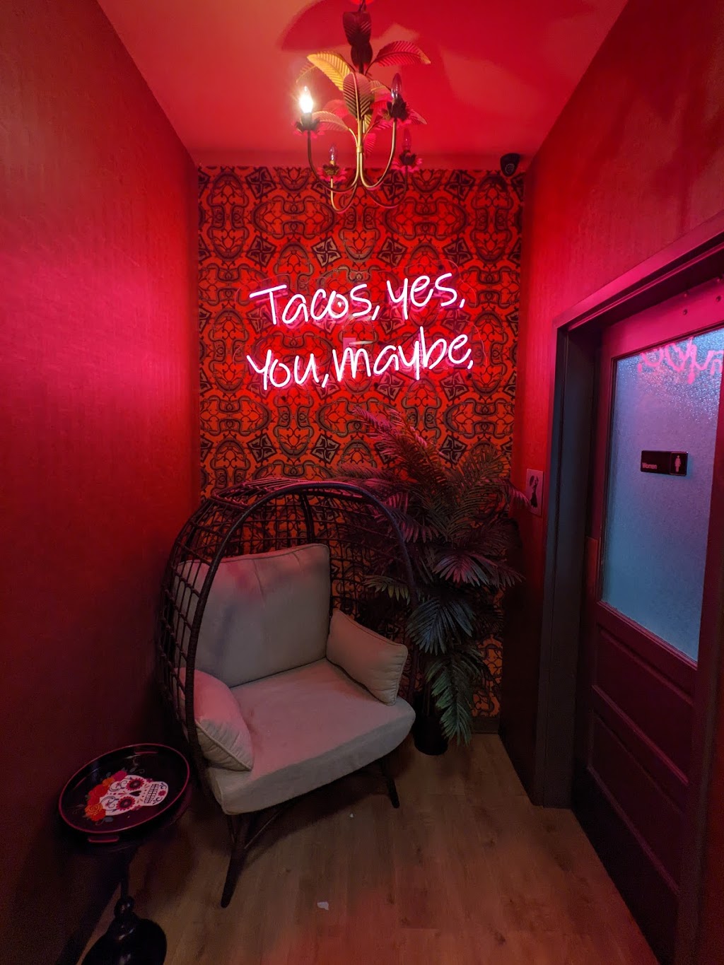 TORO Cantina | 111 Wolf Rd, Albany, NY 12205, USA | Phone: (518) 949-2211