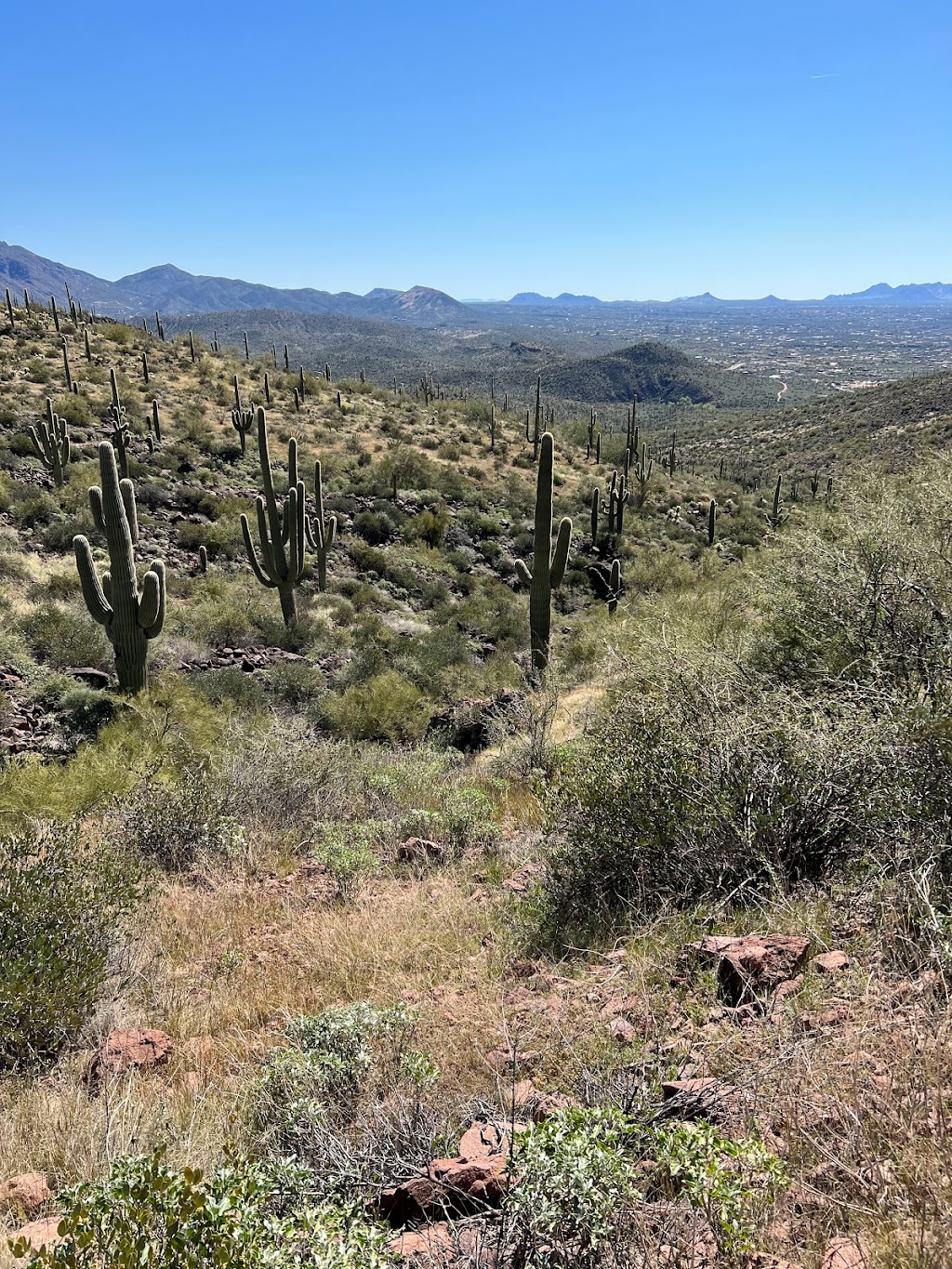 Spur Cross Ranch Conservation | 44000 N Spur Cross Rd, Cave Creek, AZ 85331, USA | Phone: (602) 506-2930