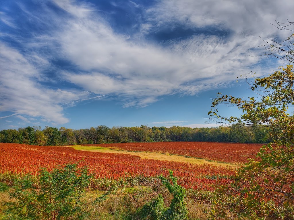 Benton Hydro ‒ River Preserve County Park | 67799 Co Rd 127, Goshen, IN 46526, USA | Phone: (574) 535-6458