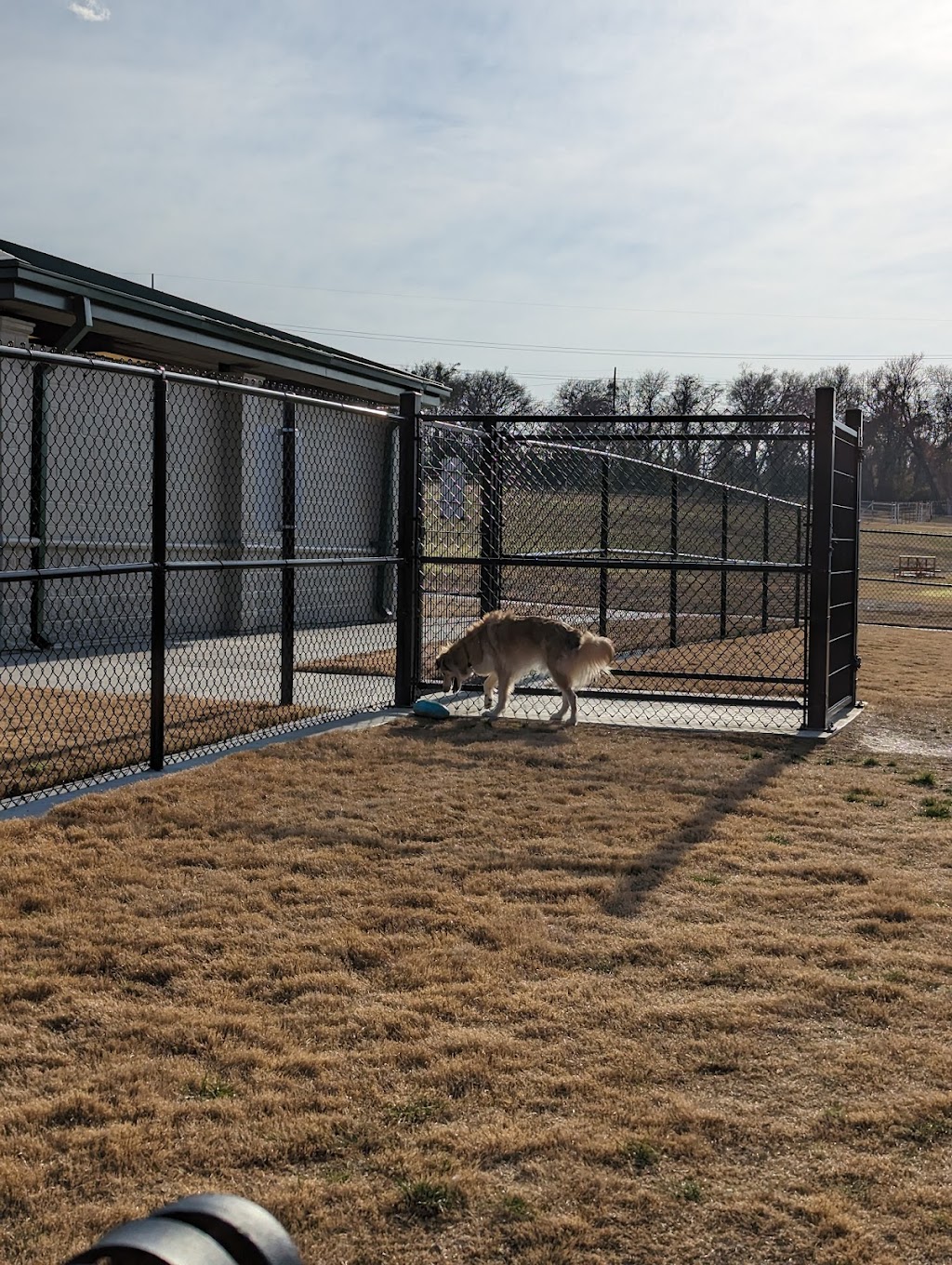 Wags-A-Hachie Dog Park | 701 Howard Rd, Waxahachie, TX 75165, USA | Phone: (469) 309-4000