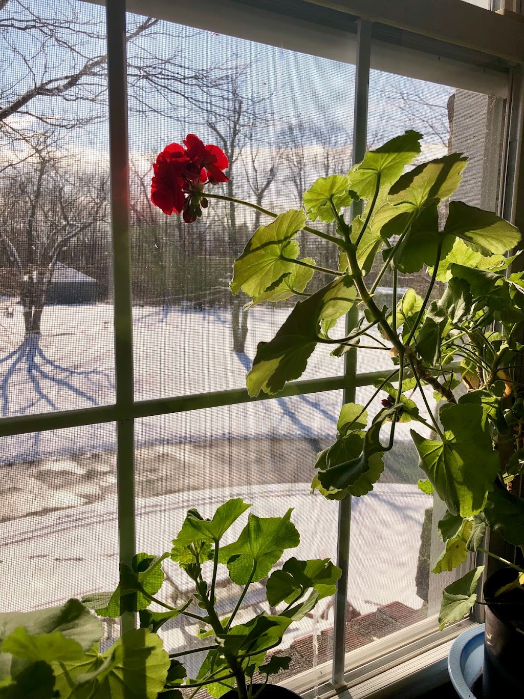 The ﻿﻿Empowerment Center﻿ at Harmony Farm | 144 Broadlea Rd, Goshen, NY 10924, USA | Phone: (347) 538-7759