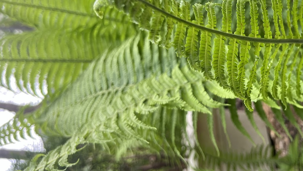 Psychotherapy | 109 Browns Rd, Huntington, NY 11743, USA | Phone: (516) 518-4344