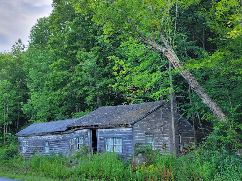 Country Roads Campground | 144 Peaceful Ln, Gilboa, NY 12076, USA | Phone: (518) 827-6397