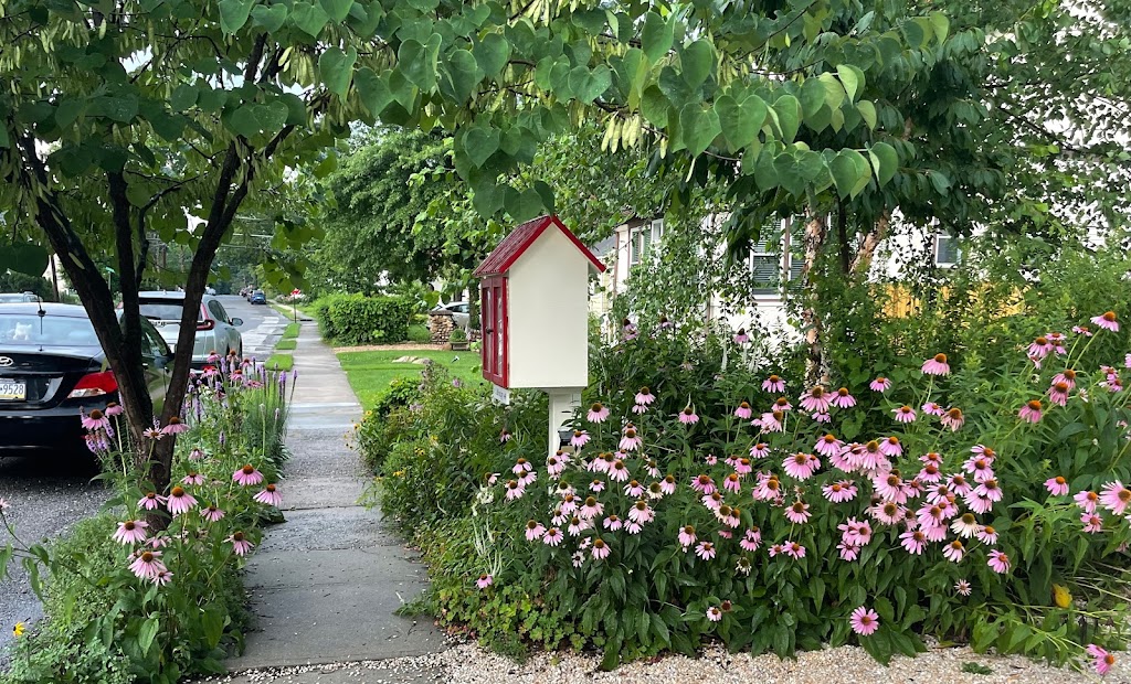 W Franklin Street Little Free Library | 227 W Franklin St, Morrisville, PA 19067, USA | Phone: (215) 888-2522