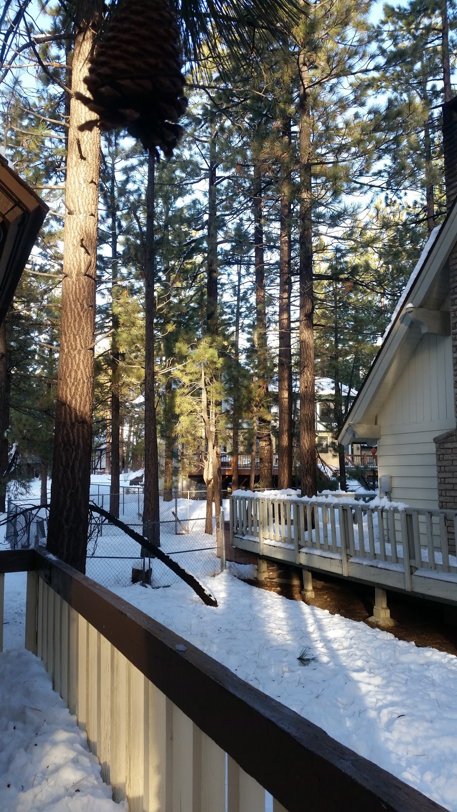 Big Bear Cabins | 421 Crane Dr, Big Bear Lake, CA 92315, USA | Phone: (800) 770-2210