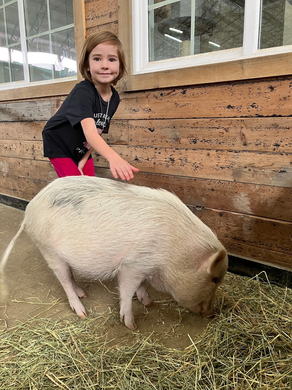 Lil Buckaroos Petting Zoo | 4738 Co Rd 5, Erie, CO 80516, USA | Phone: (303) 870-5106