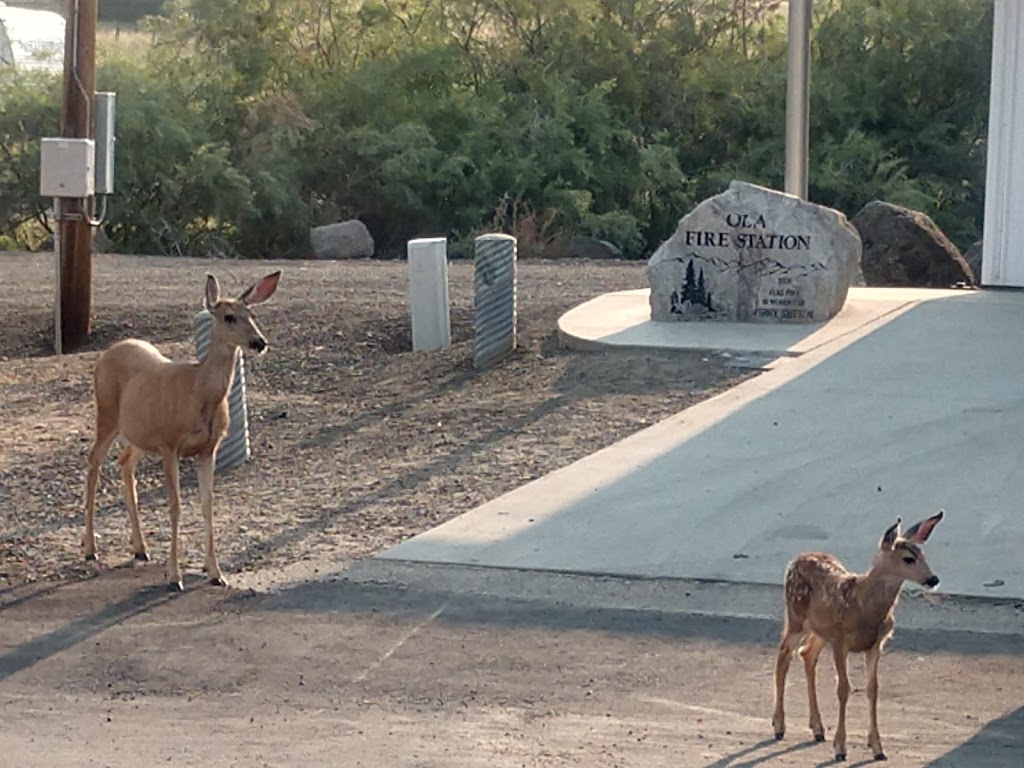 Muleys at Ola | 22001 Sweet Ola Hwy, Ola, ID 83657, USA | Phone: (208) 477-6574