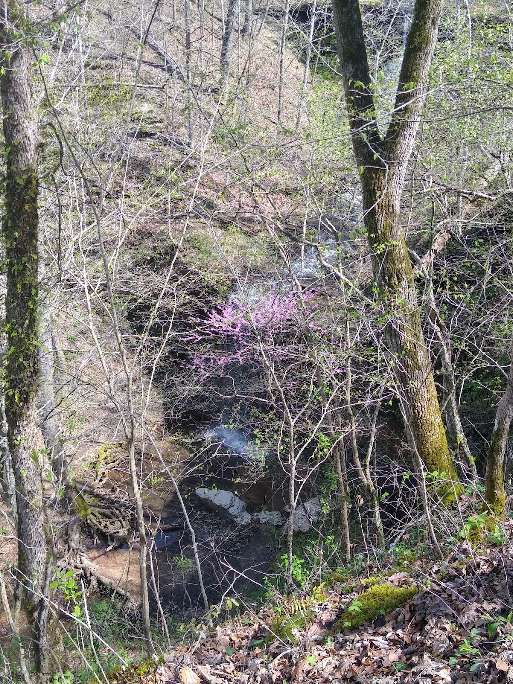 Natchez Trace National Scenic Trail | Garrison Creek Trail, Franklin, TN 37064, USA | Phone: (662) 680-4025