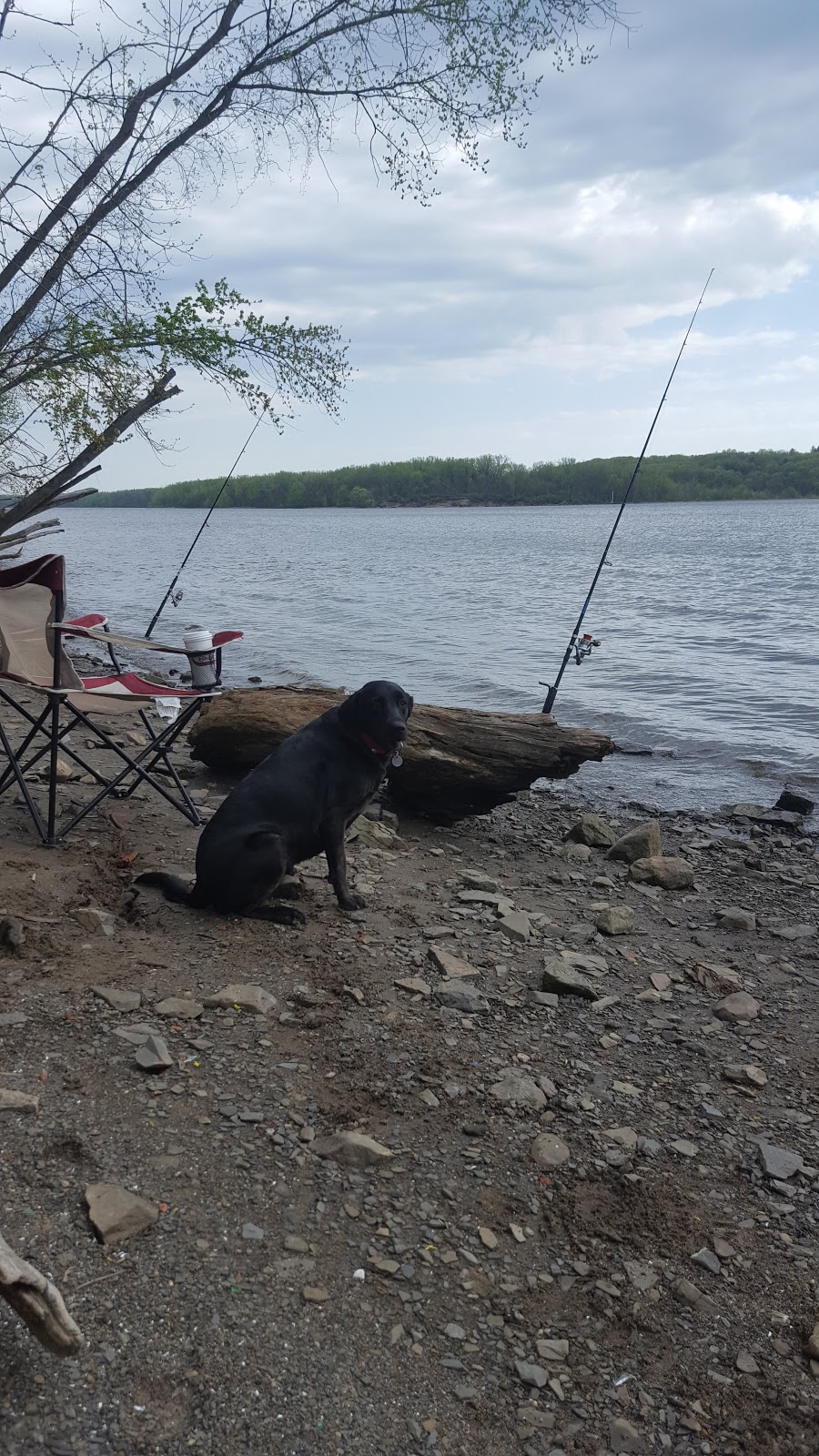 Vosburgh Swamp Wildlife Management Area | 4 Mile Point Rd, Coxsackie, NY 12051, USA | Phone: (845) 473-4440