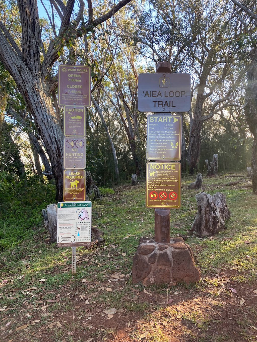 ʻAiea Loop Trailhead | 99-1849 Aiea Heights Dr, Aiea, HI 96701, USA | Phone: (808) 733-9104